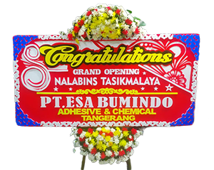 Bunga Papan Congratulations #20